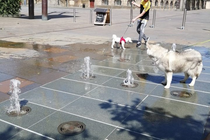 a group of baseball players standing on top of a building